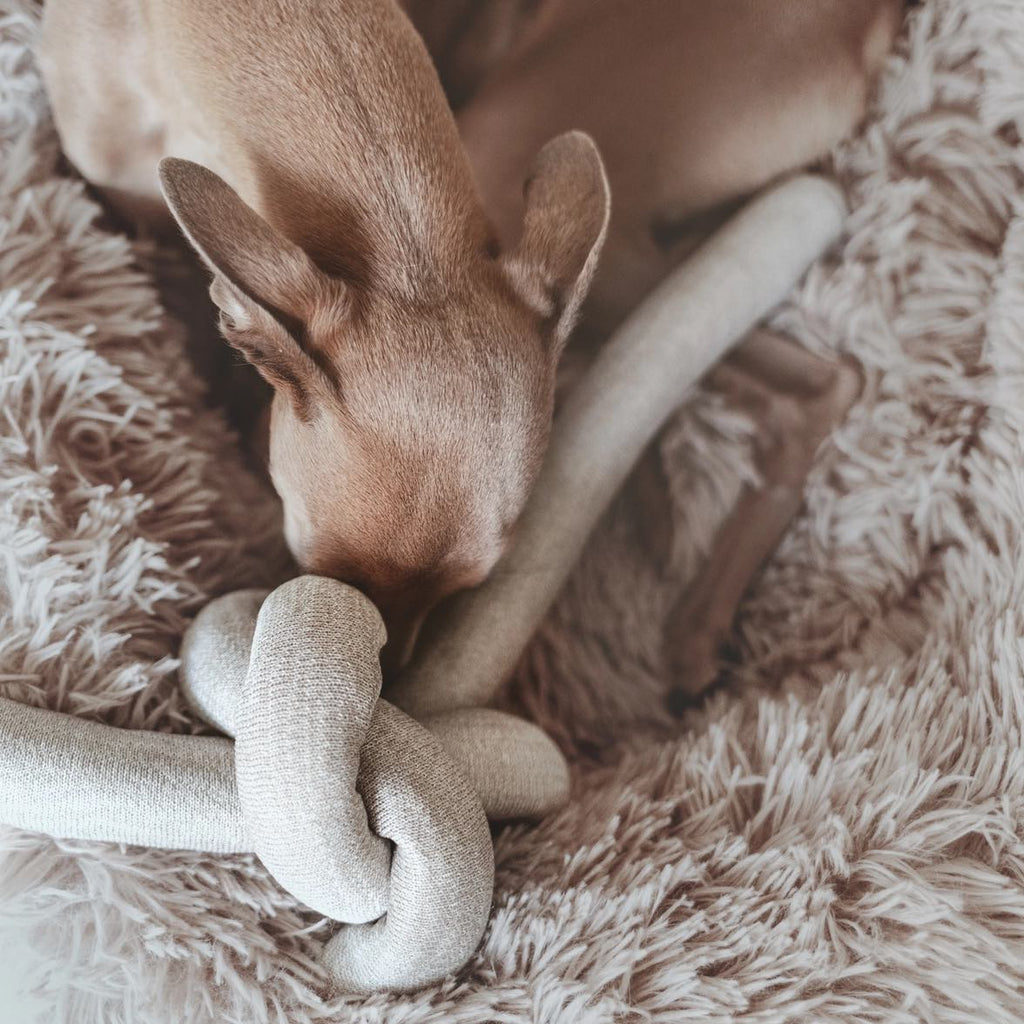  Lambwolf Collective - NOU