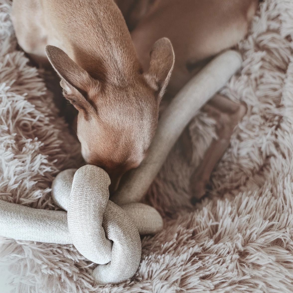  Lambwolf Collective - NOU