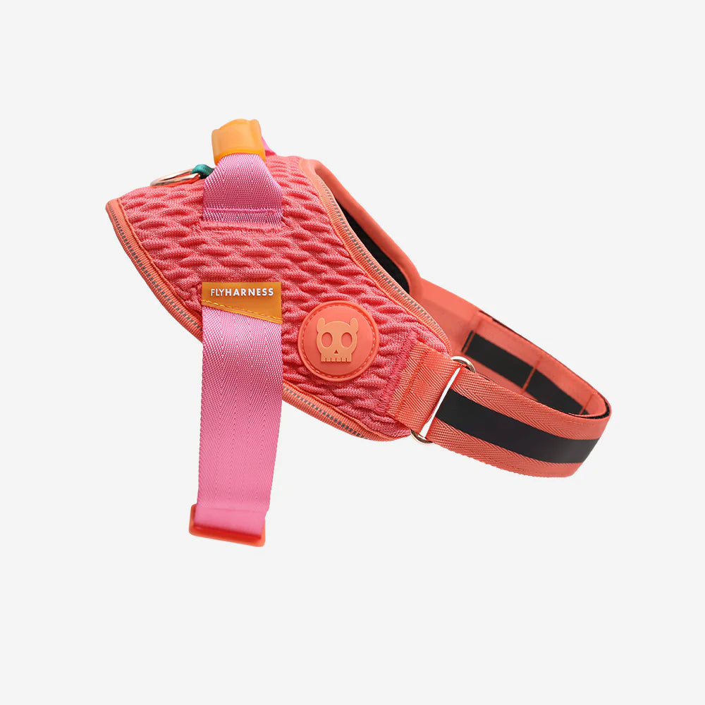 Zee.Dog - Fly-harnas Gazelle