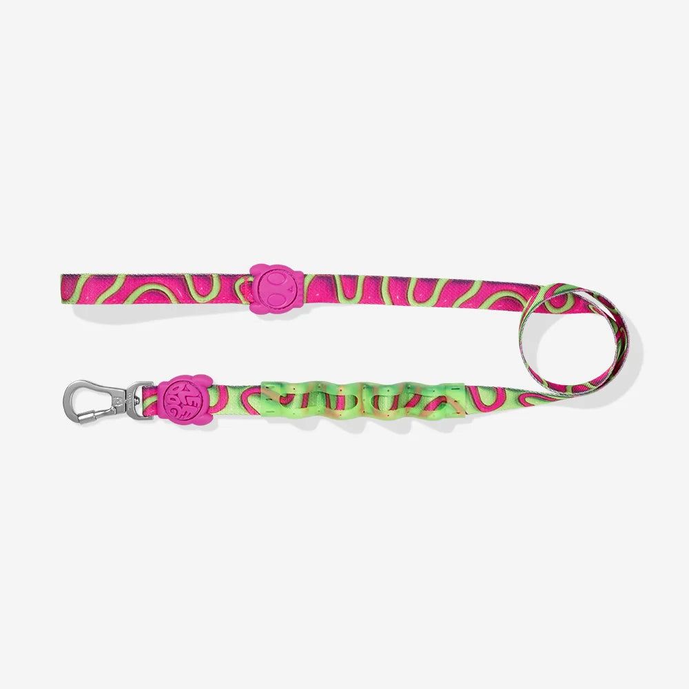 Zee.Dog - Ruff Riem H3D Jelly