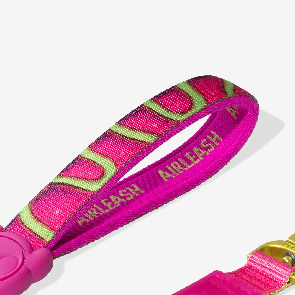 Zee.Dog - Airleash H3D Jelly
