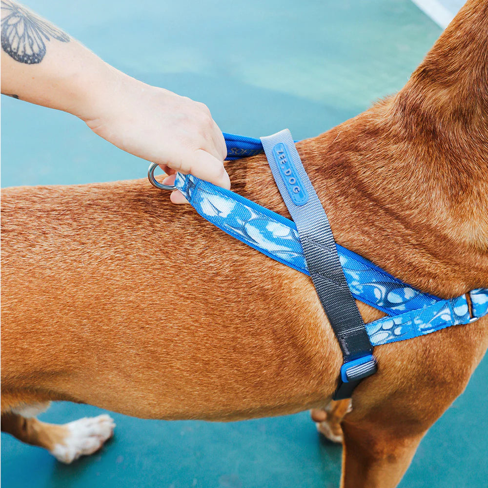 Zee.Dog - H3D Fly Softer Walk harnas