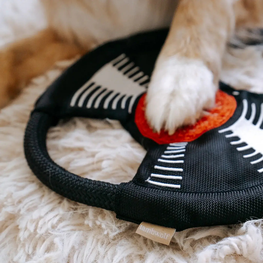 Lambwolf Collective - Bark To Beat