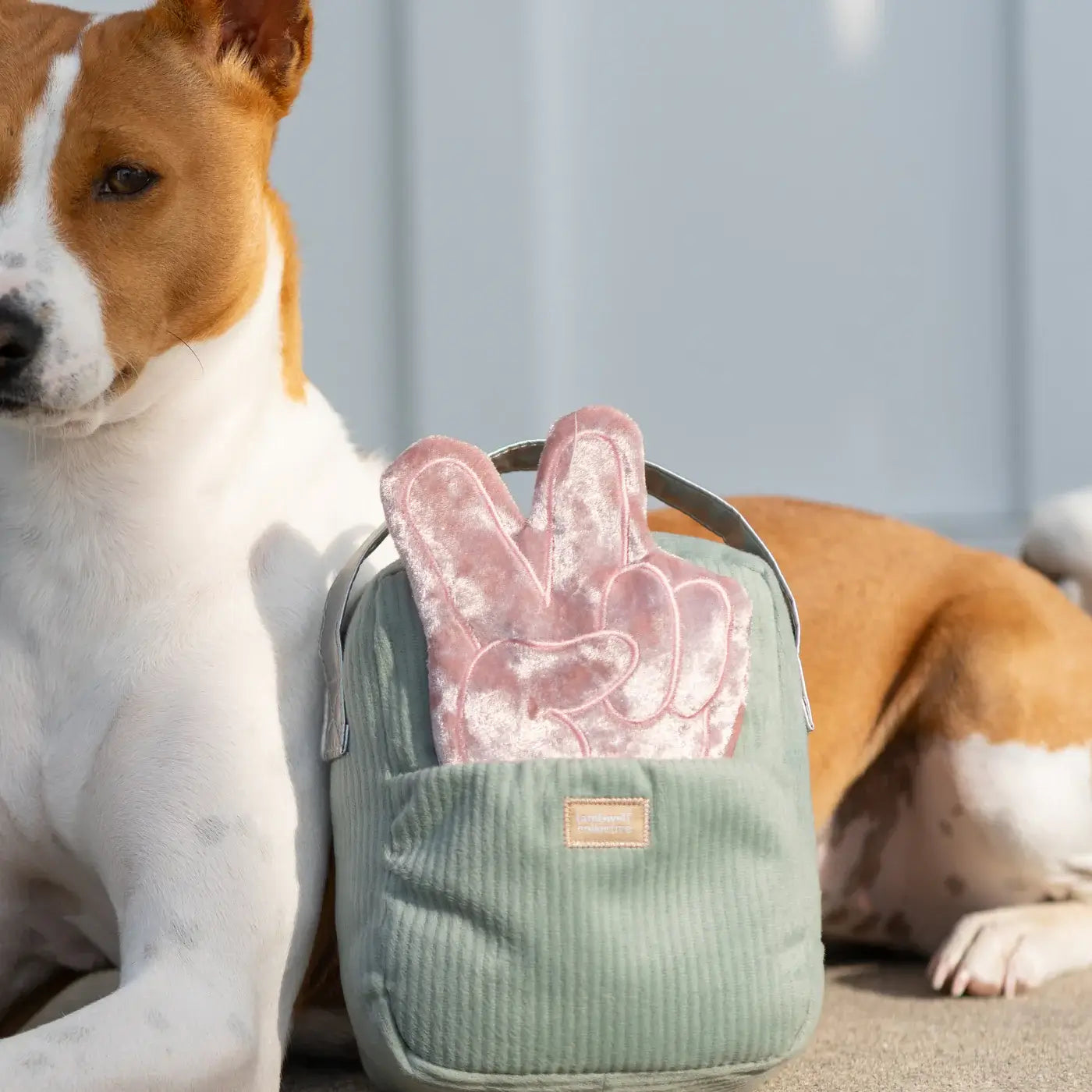 Lambwolf Collective - WOOF FM