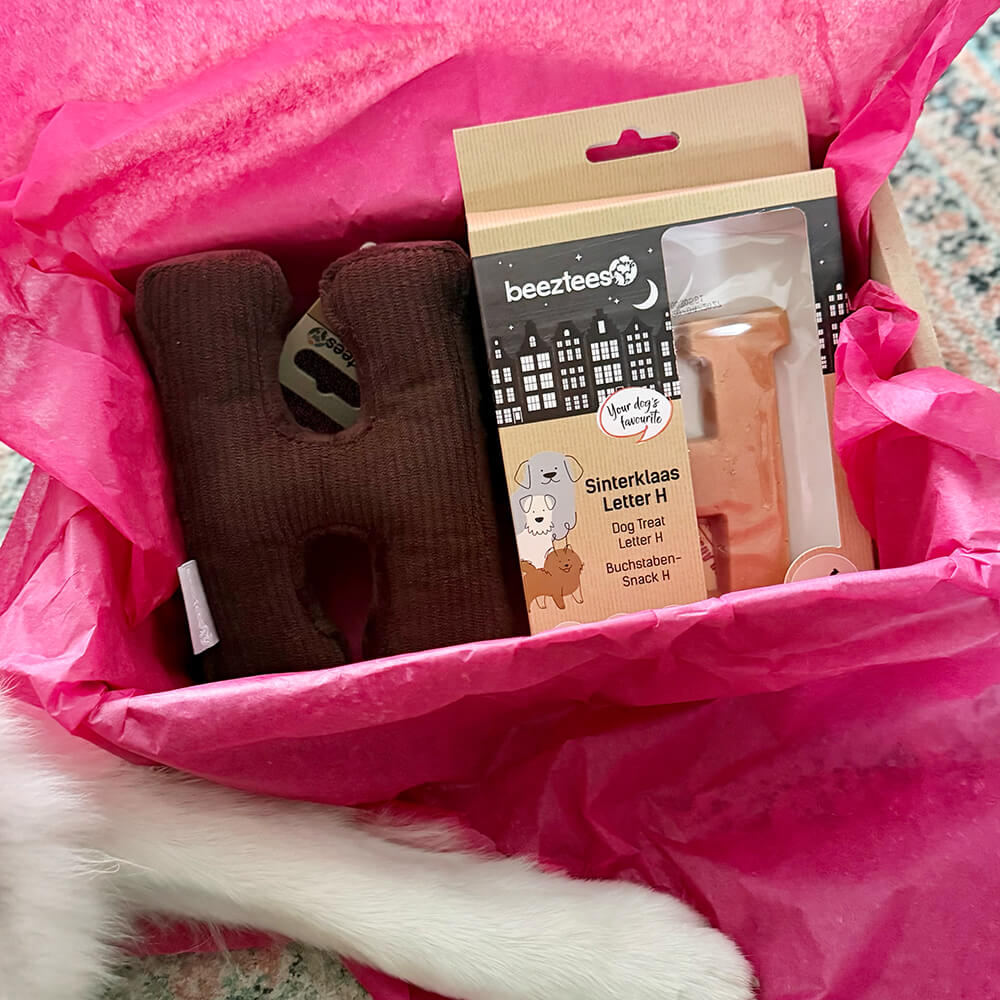 Sint Box, verras jouw hond!