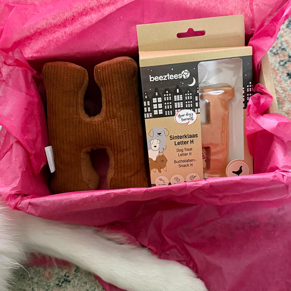 Sint Box, verras jouw hond!