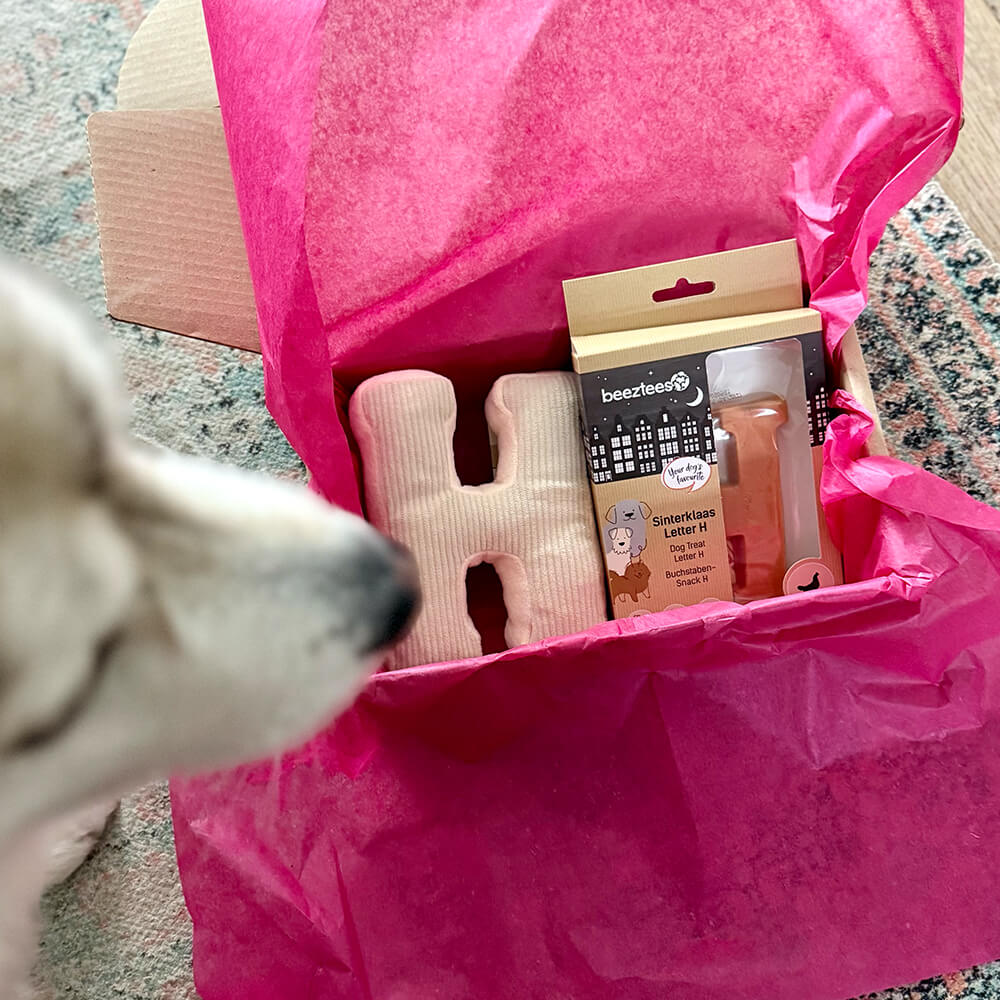 Sint Box, verras jouw hond!