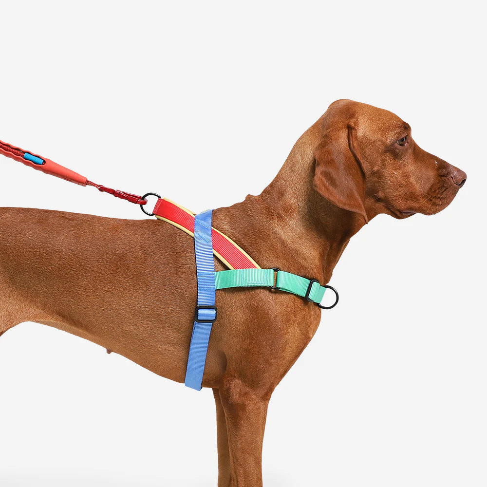 Zee.Dog - Mellow Softer Walk harnas