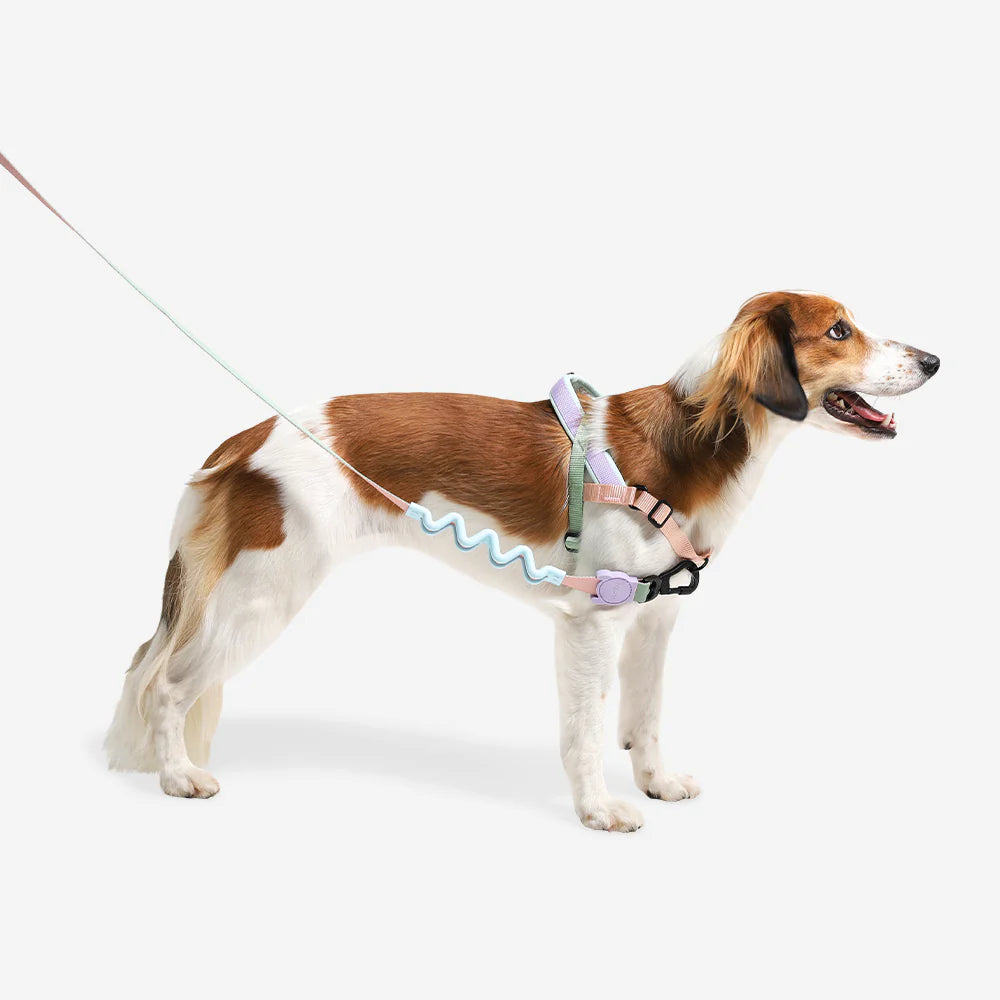 Zee.Dog - Peach Softer Walk harnas