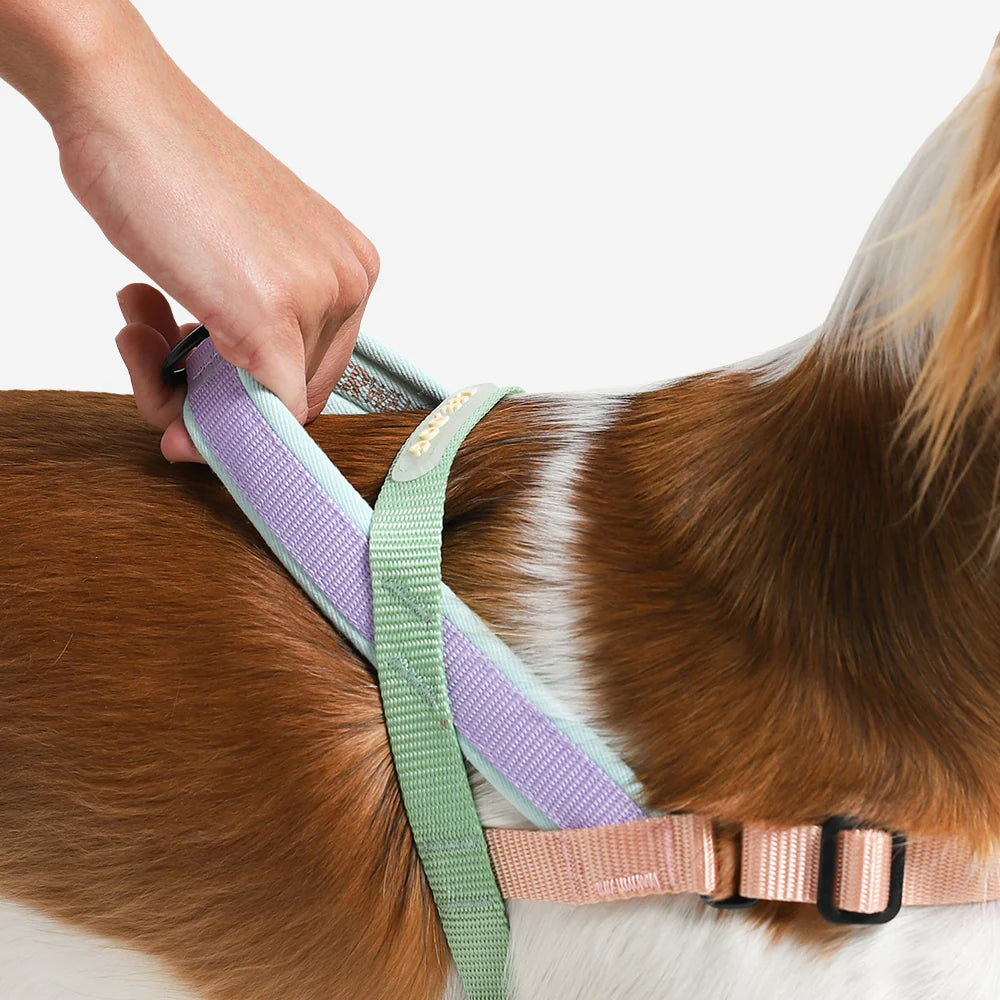 Zee.Dog - Peach Softer Walk harnas