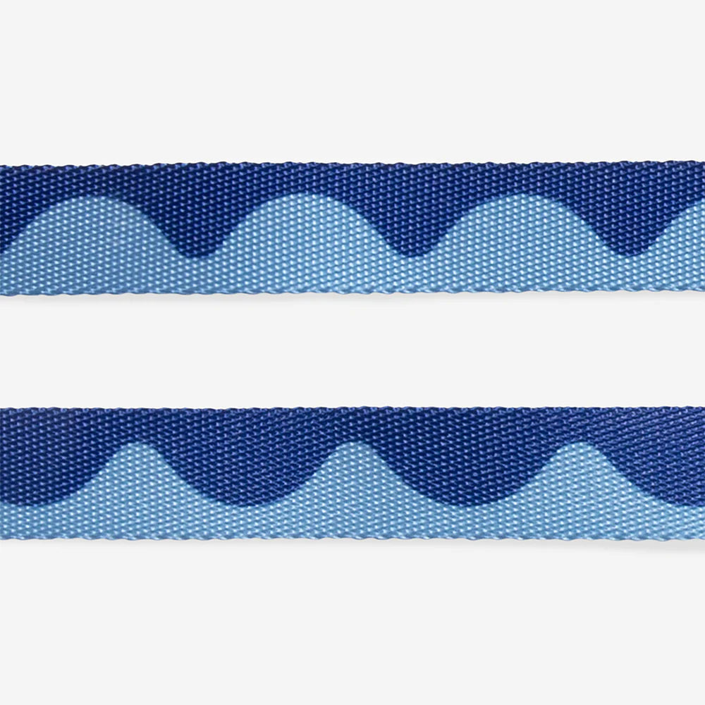 Zee.Dog - Riem Riem Swell