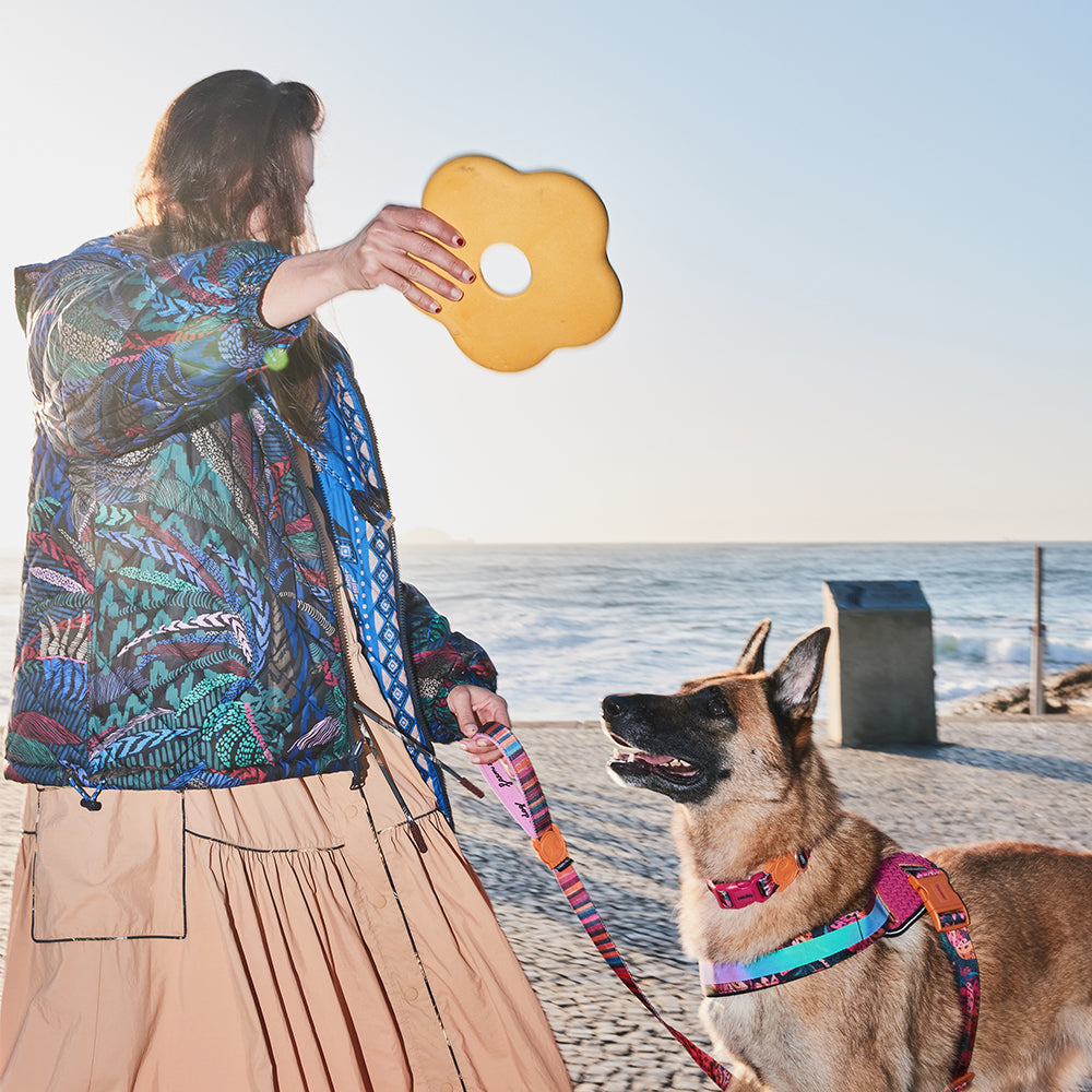 Zee.Dog - Farm Rio Flower - Yellow