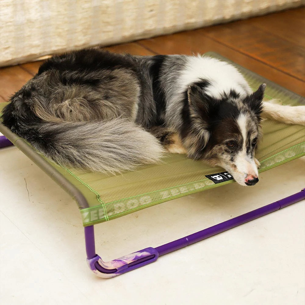Zee.Dog - Air.Bed Green