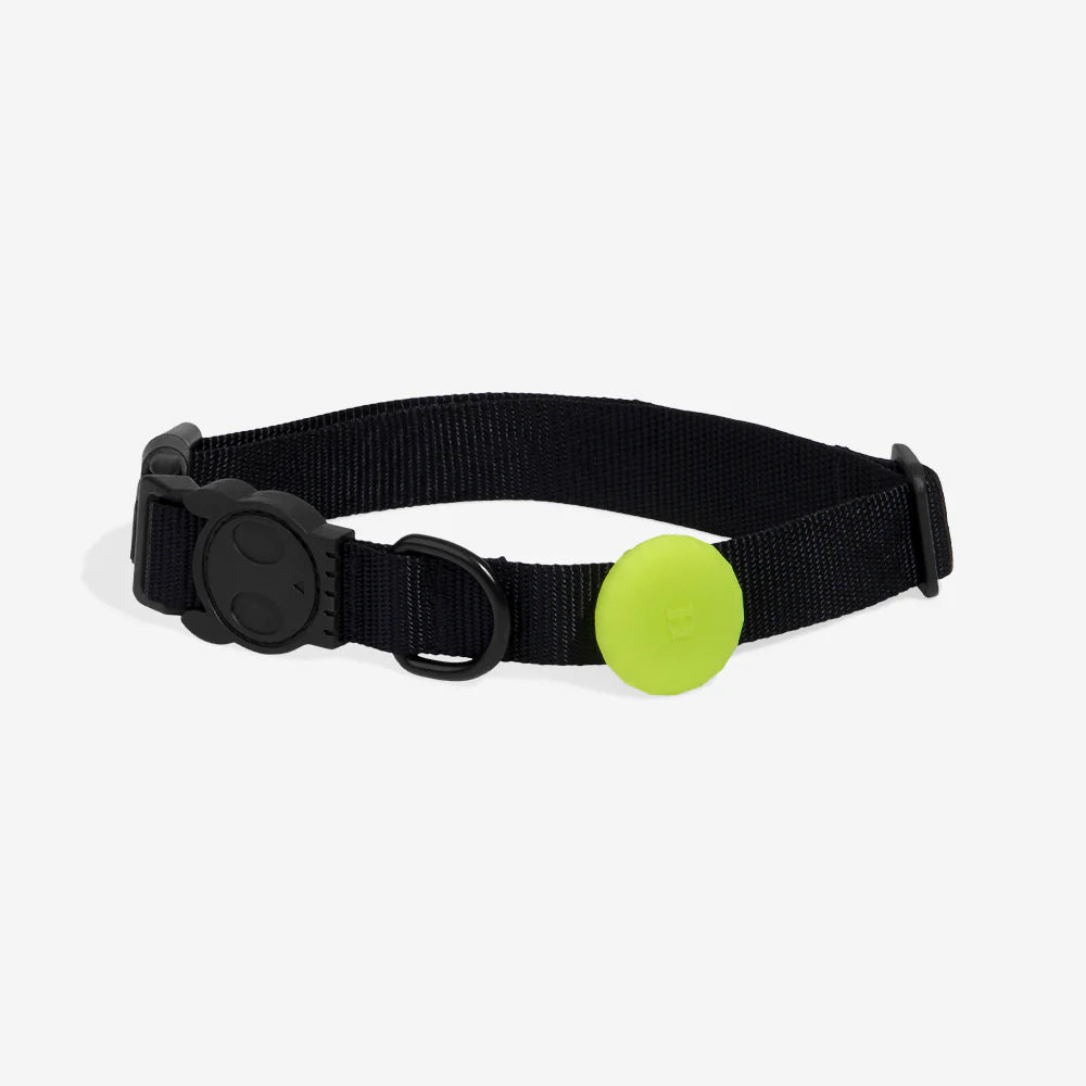 Zee.Dog - Airtag houder Lime