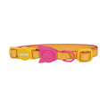 Katzenhalsband NeoPro Lyra
