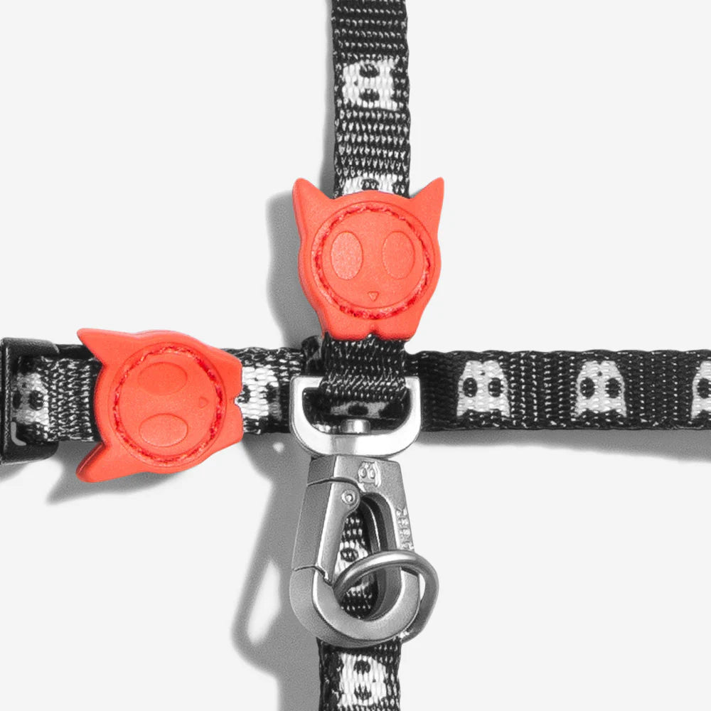 Zee.Cat - Kattentuigje + Riem Set Skull