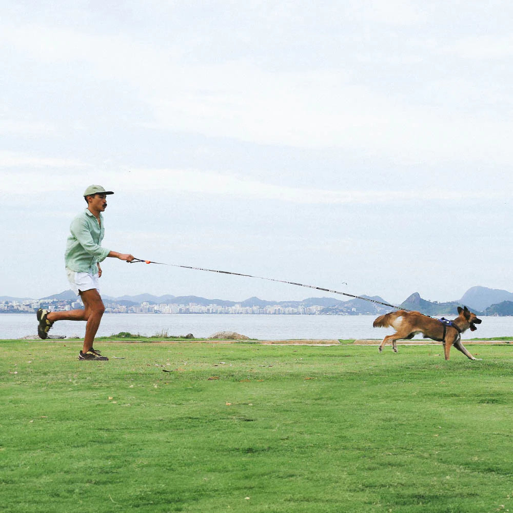 Zee.Dog - Long Leash CMYK