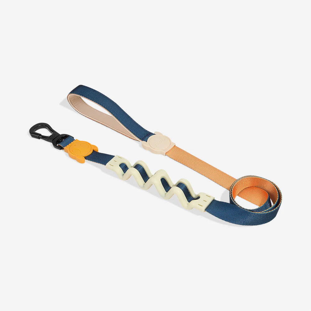 Zee.Dog - Ruff Riem Voyage
