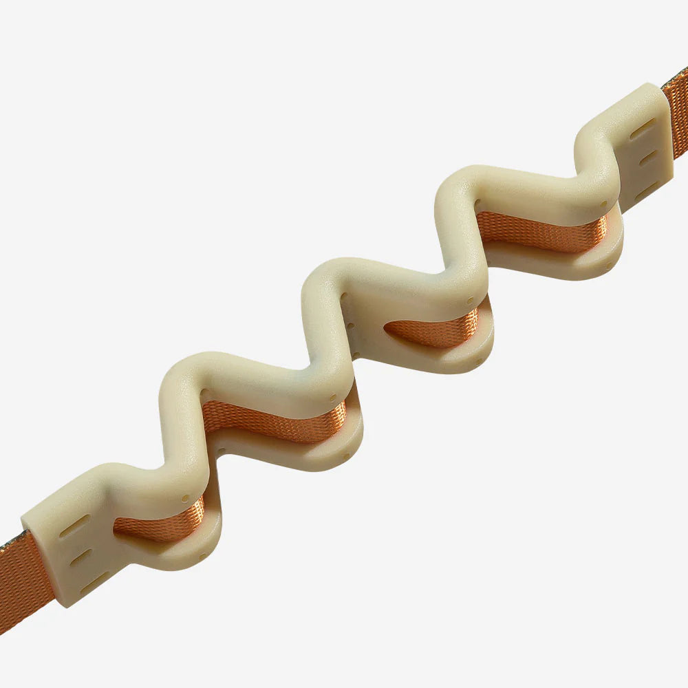 Zee.Dog - Ruff Riem Voyage