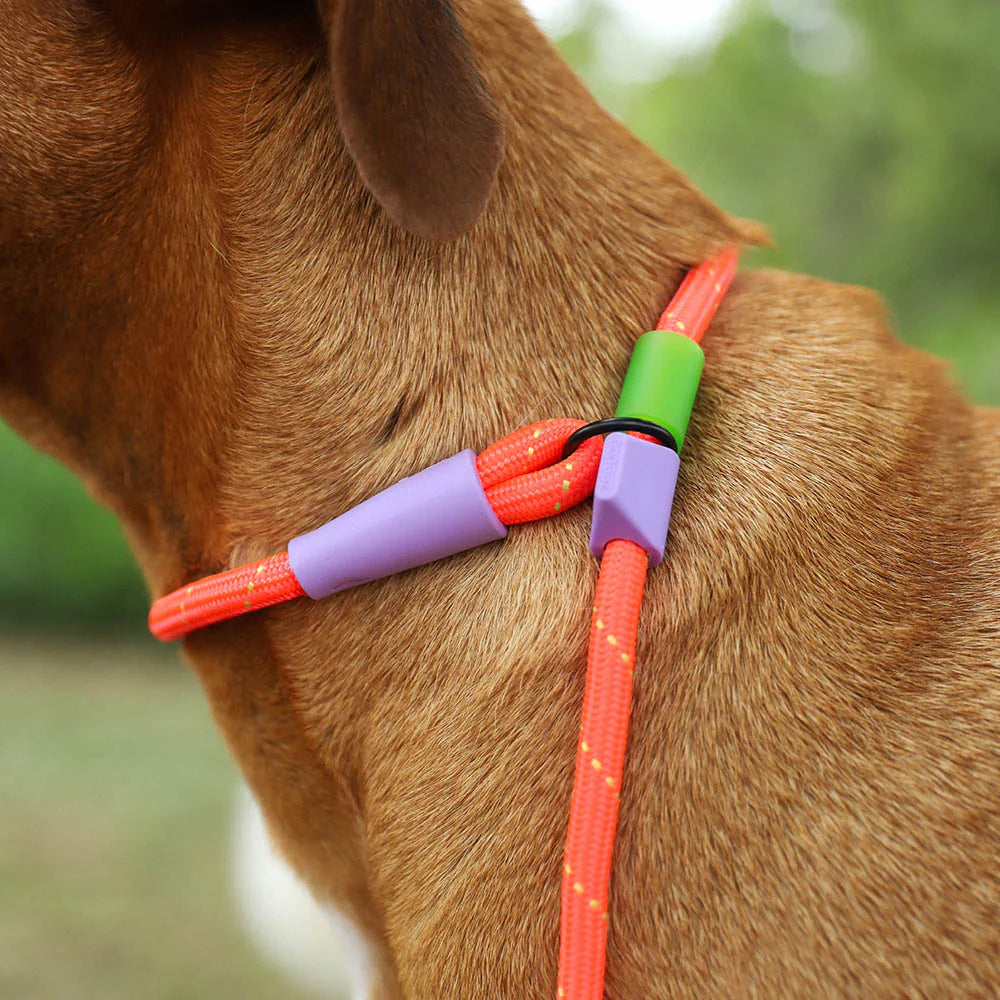 Zee.Dog - Slip-N-Lock Leash Everest