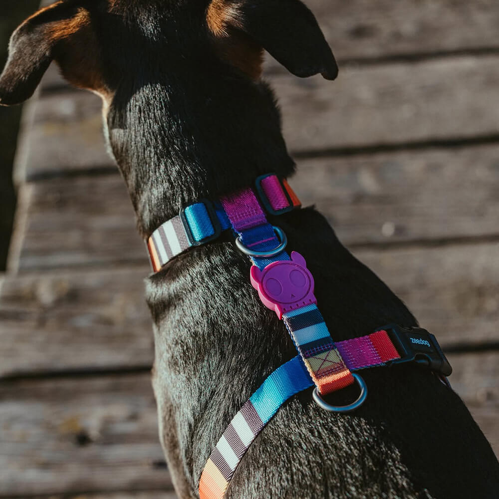 Zee.Dog - H-harnas Prisma
