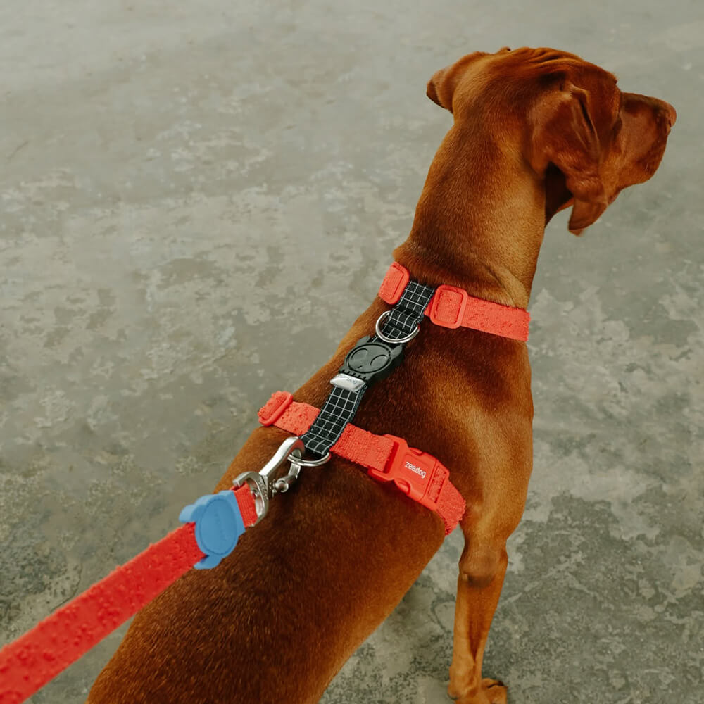 Zee.Dog - H-harnas Fuse Grid