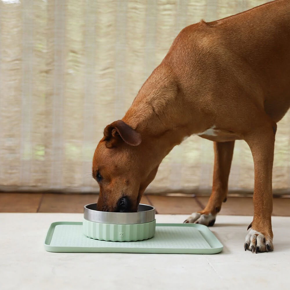 Zee.Dog - Tuff Drink- & Eetbak Sage