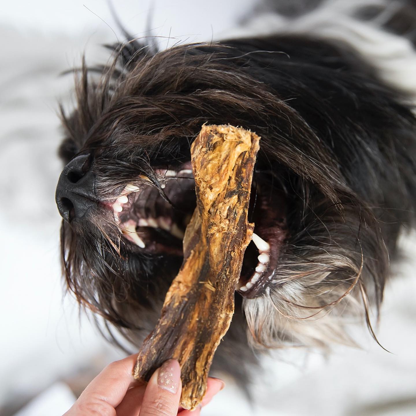 Kivo Petfood Runderlong - 500 gram