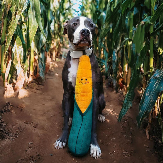 ZippyPaws Corn (51 cm)