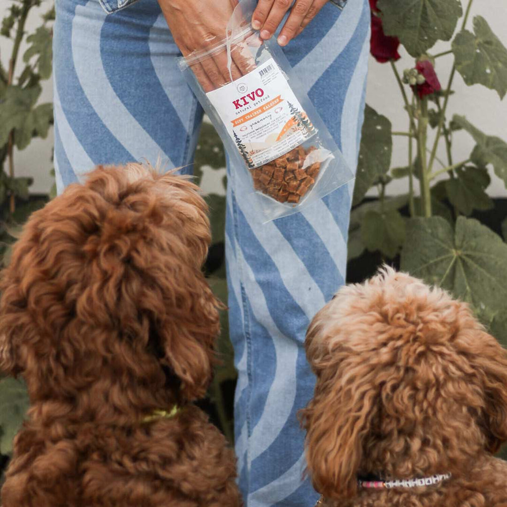Kivo Petfood Soft Trainers Kalkoen - 100 gram