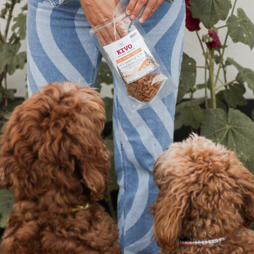 Kivo Petfood Soft Trainers Kalkoen - 100 gram