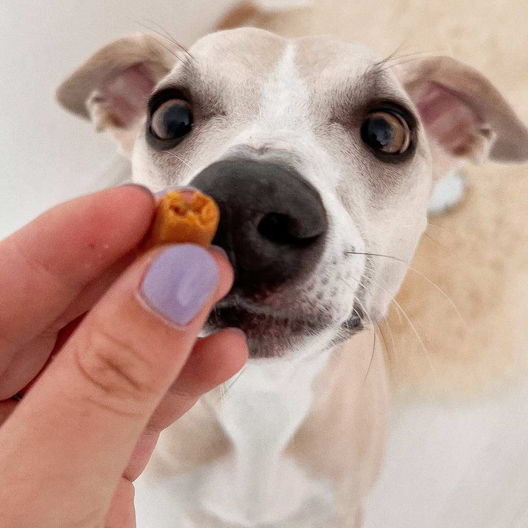 Kivo Petfood Soft Trainers Kip - 100 gram