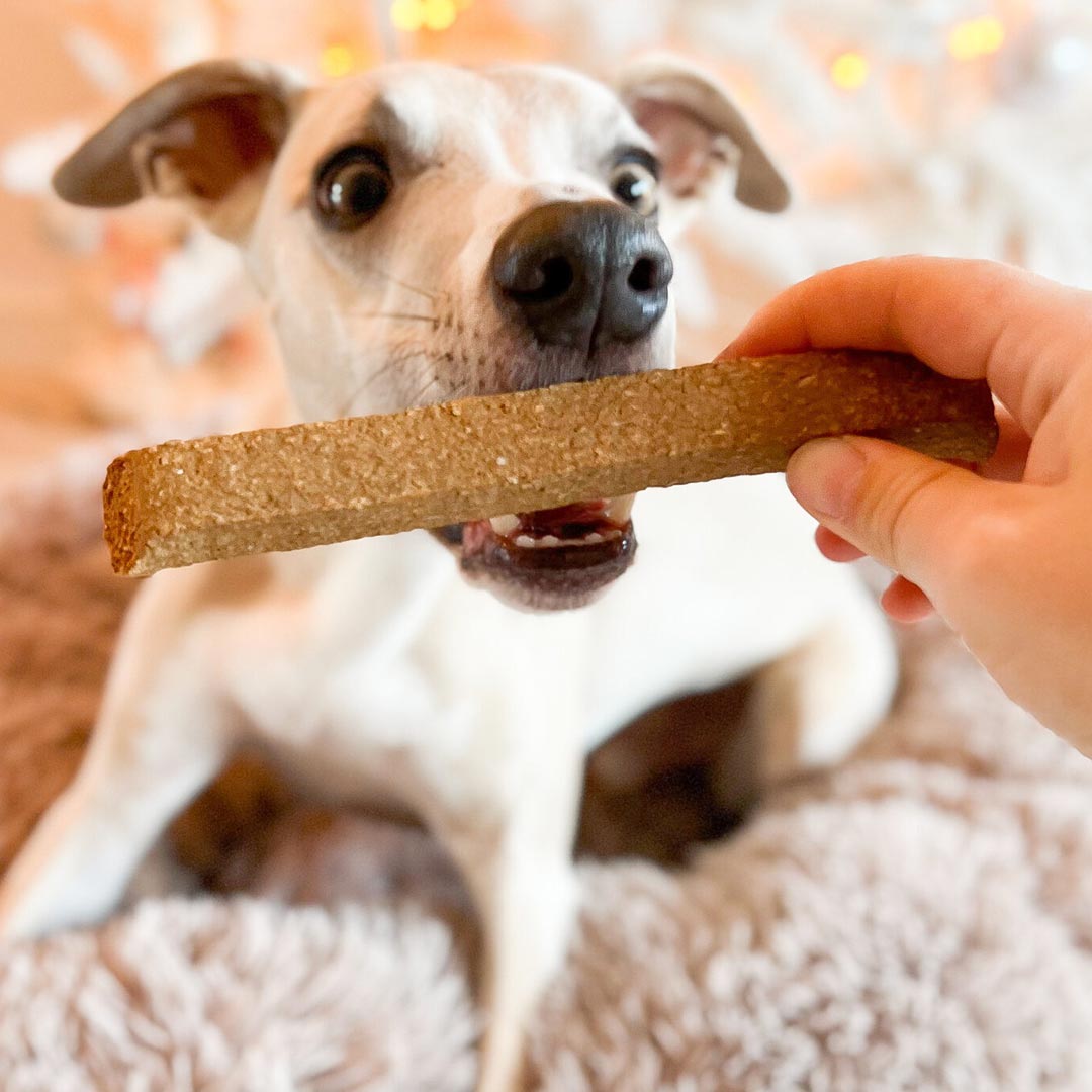 Kivo Petfood - Take & Break Kalkoen - 1 stuk