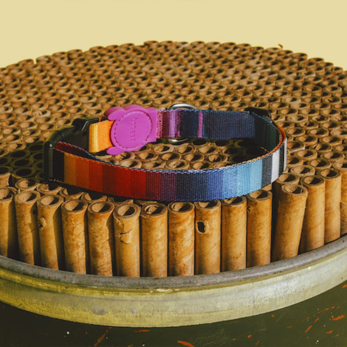 Zee.Dog Halsband Prisma