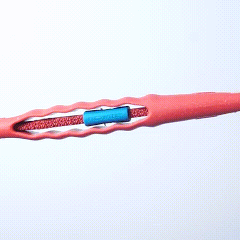 Zee.Dog Airleash Crimson