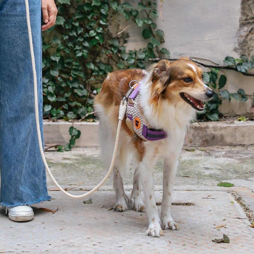 Zee.Dog - Handsfree Riem Vanilla