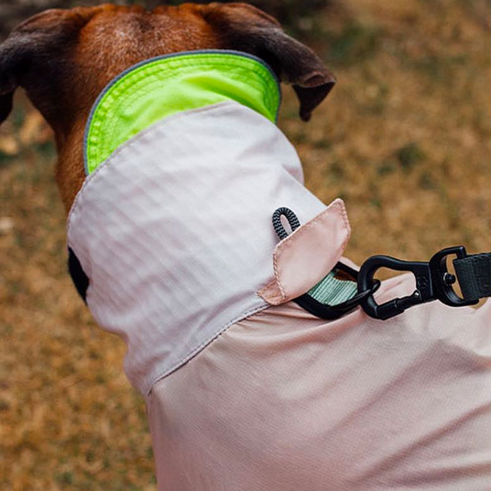 Zee.Dog Oatmeal Raincoat