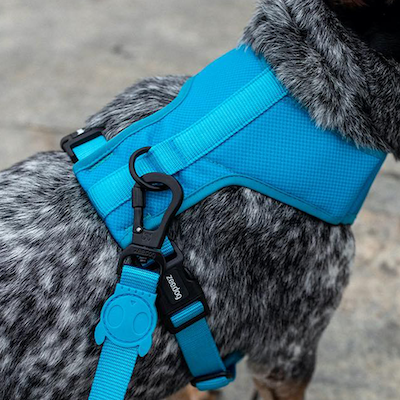 Zee.Dog Riem Ultimate Blue