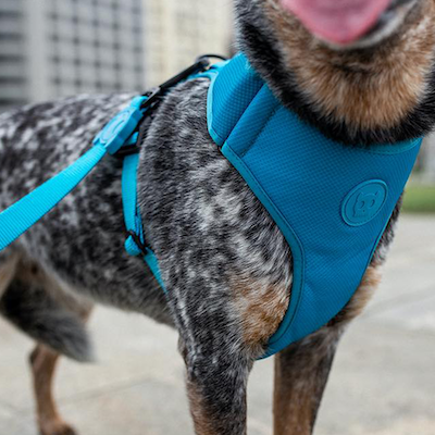 Zee.Dog Adjustable Air Mesh harnas Ultimate Blue